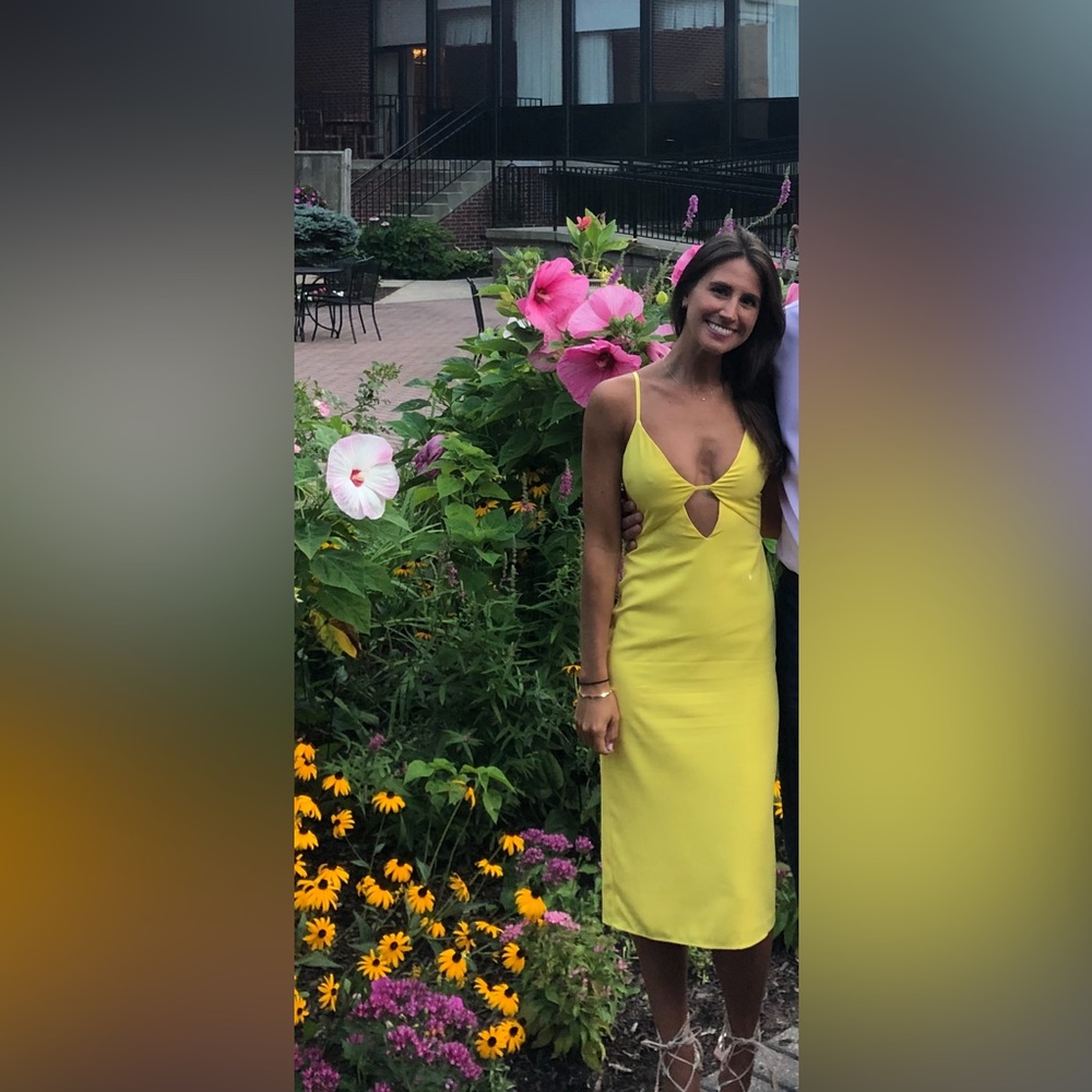 Lovers + Friends Dress